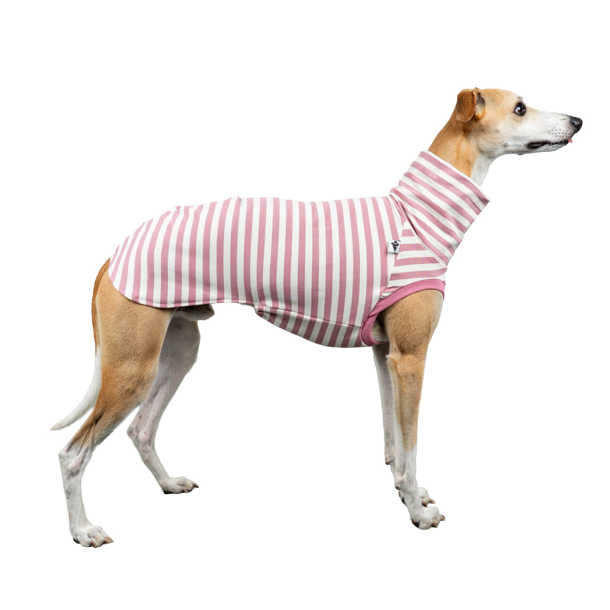 COTTON SHIRT Windhund Pink Stripes