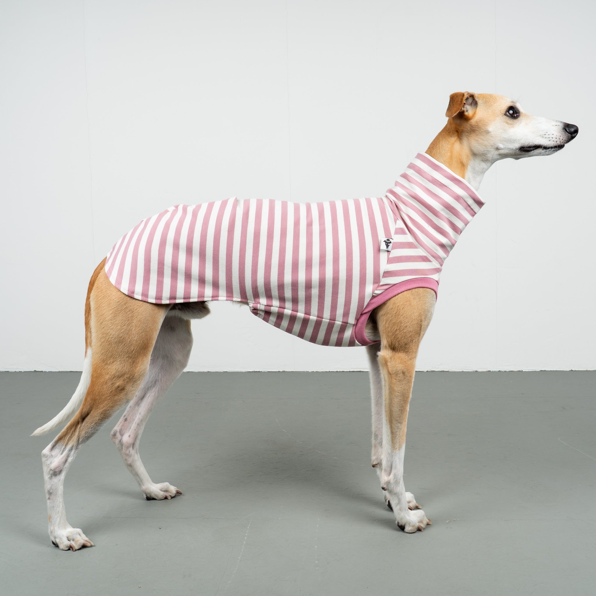 COTTON SHIRT Windhund Pink Stripes
