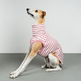Load image into Gallery viewer, COTTON SHIRT Windhund Pink Stripes

