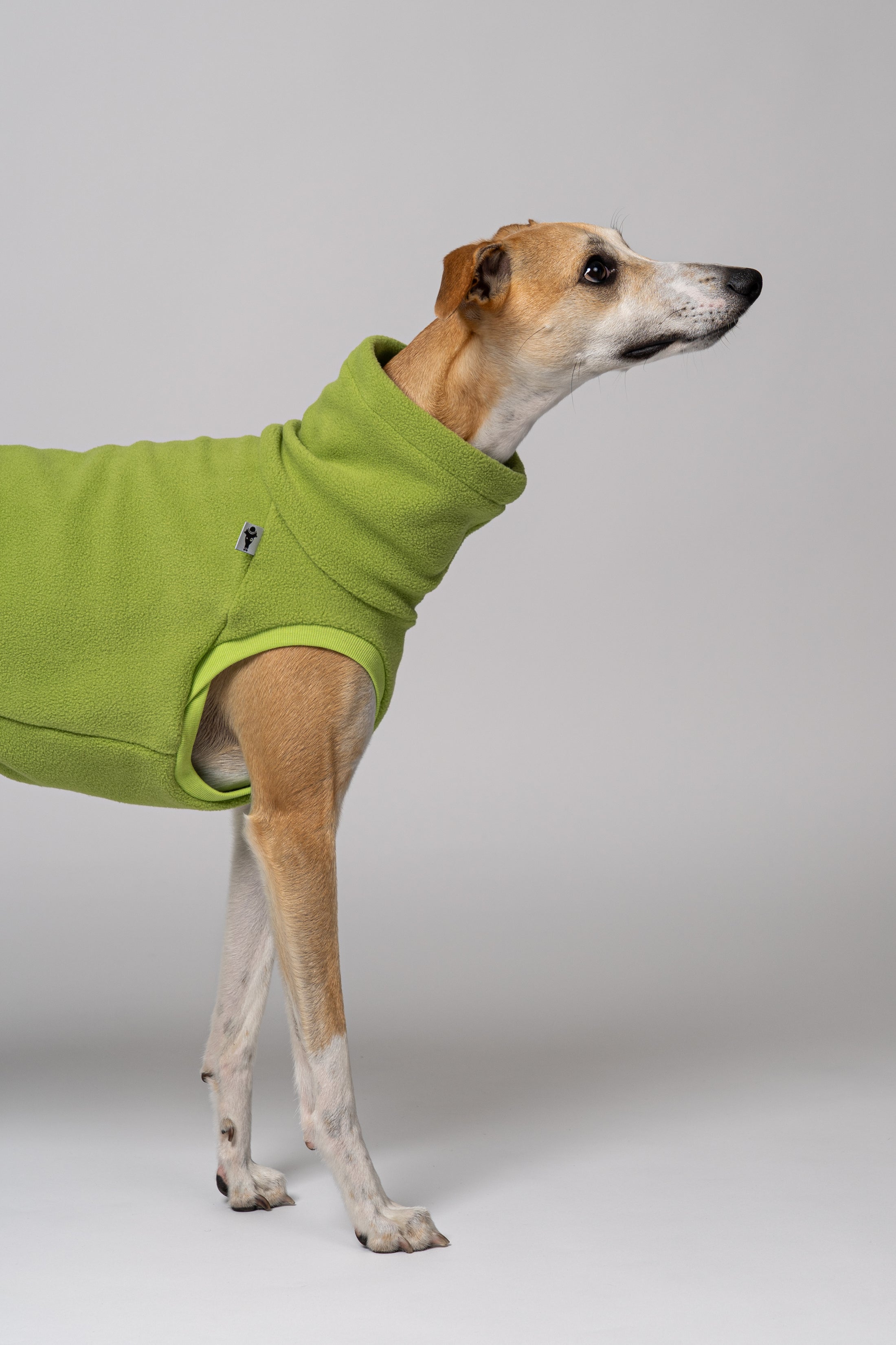 FLEECE SHIRT Windhund Light Green