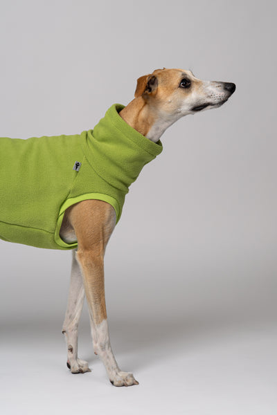 LONG SHIRT 2.0 für Whippet, Windsprite, Podenco, Galgo in Light Green