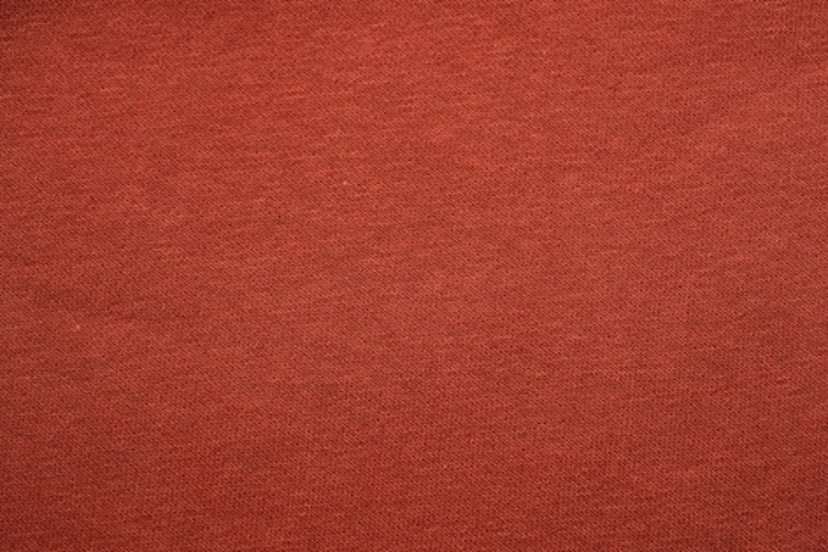 SWEAT SHIRT Dackel Terracotta