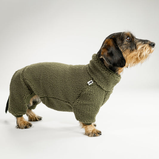 Hundebekleidung für Dackel: Teddy-Overall in Dark Olive, stylisch & praktisch