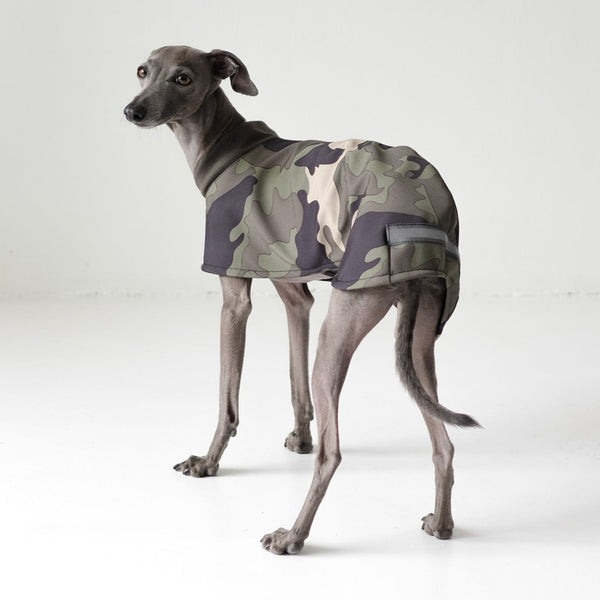 Italian Greyhound Jacket