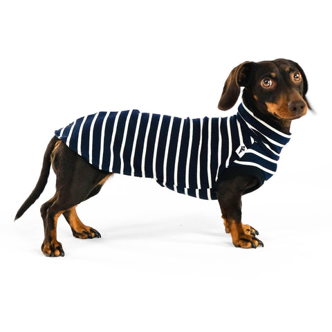 Cotton Shirt für Dackel in Navy Stripes