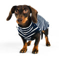 Load image into Gallery viewer, Shirt aus Baumwolle für Dackel mit Streifen
