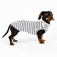 Load image into Gallery viewer, Dackel Cotton Shirt Stripes White

