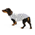 Load image into Gallery viewer, Baumwollshirt für Dackel mit Streifen Navy Weiß
