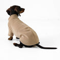 Load image into Gallery viewer, Doxie Sweater
