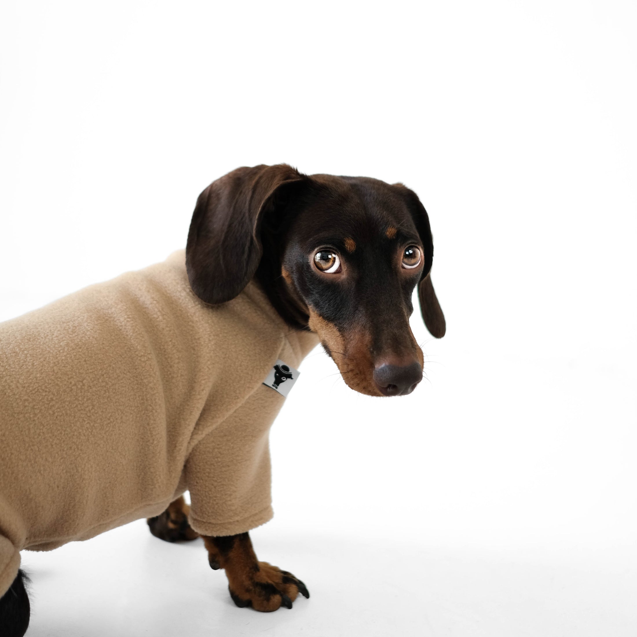 Dachshund Sweater