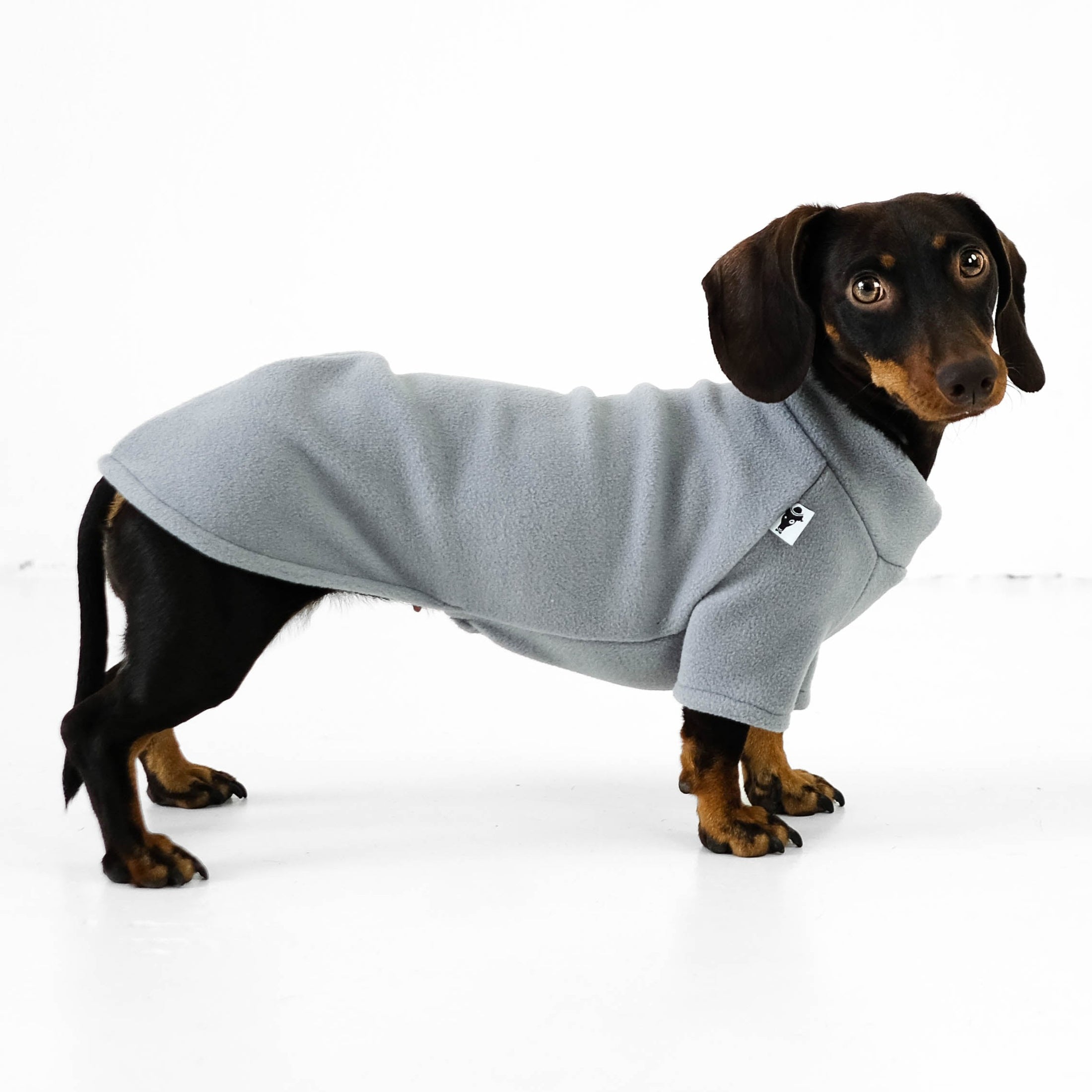 Dackel Pullover Hellgrau