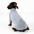 Load image into Gallery viewer, Dachshund Jumper

