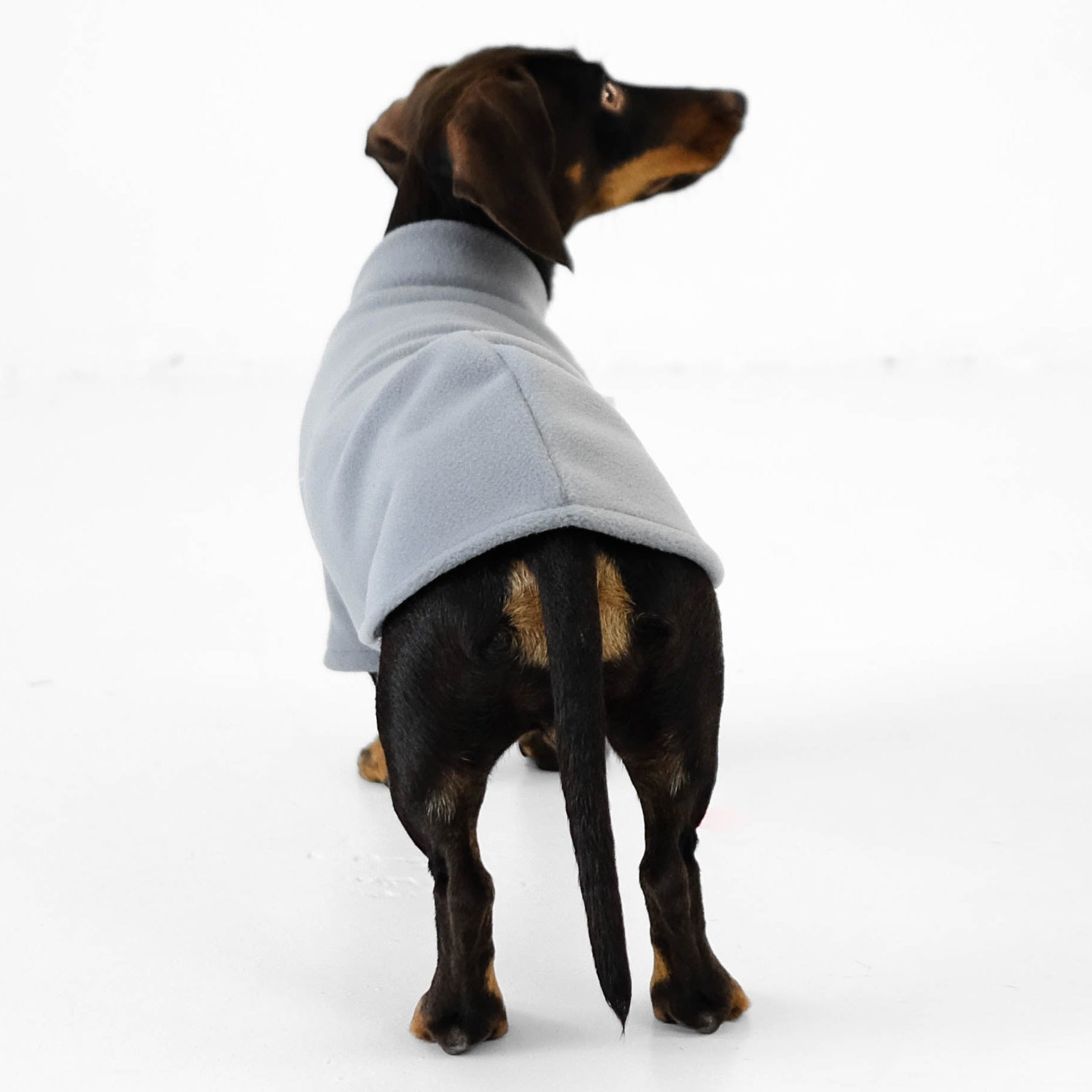 Dachshund Fleece Pullover