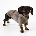 Load image into Gallery viewer, Dackel Pullover Walnut
