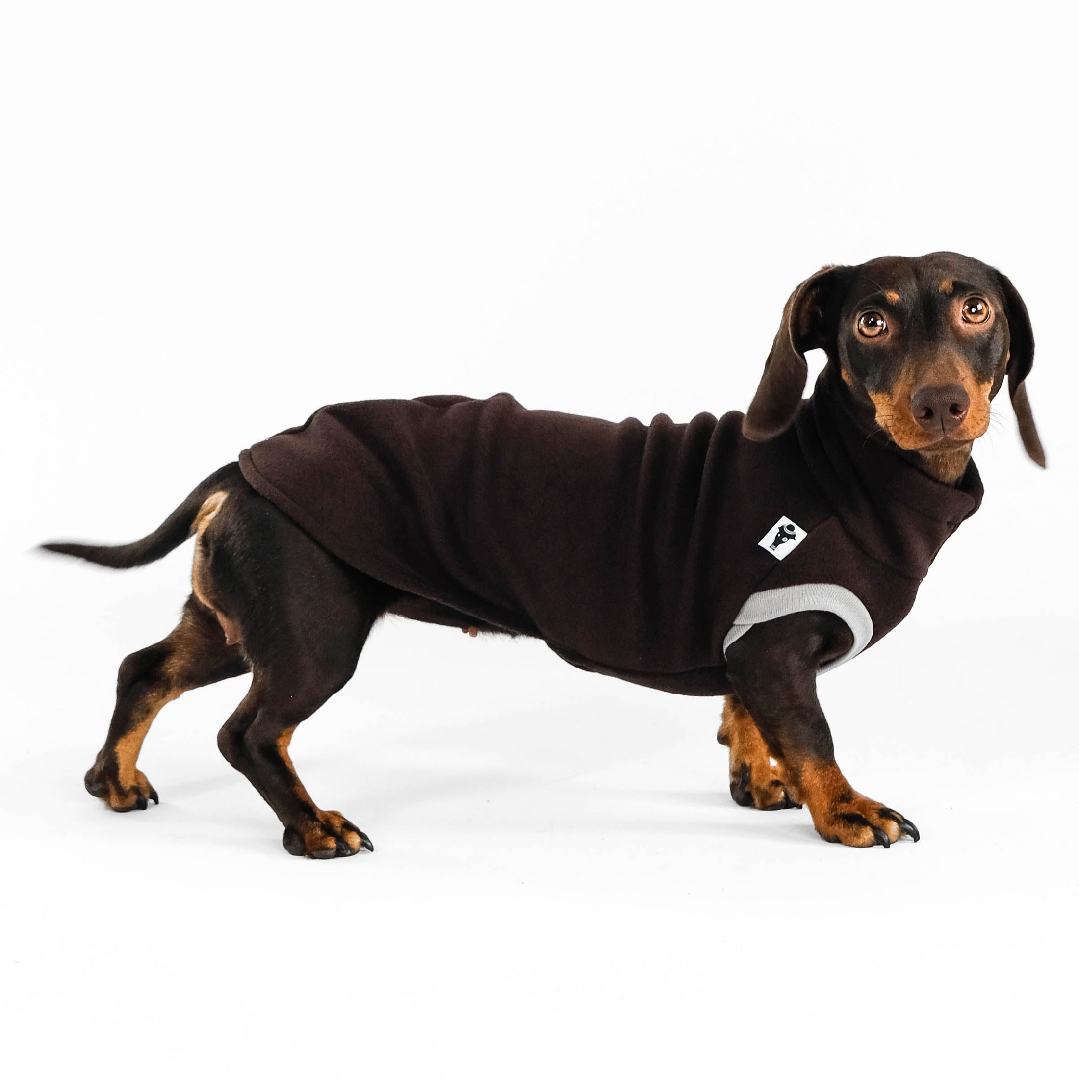 Dackel Fleece Long Shirt 2.0 in Braun