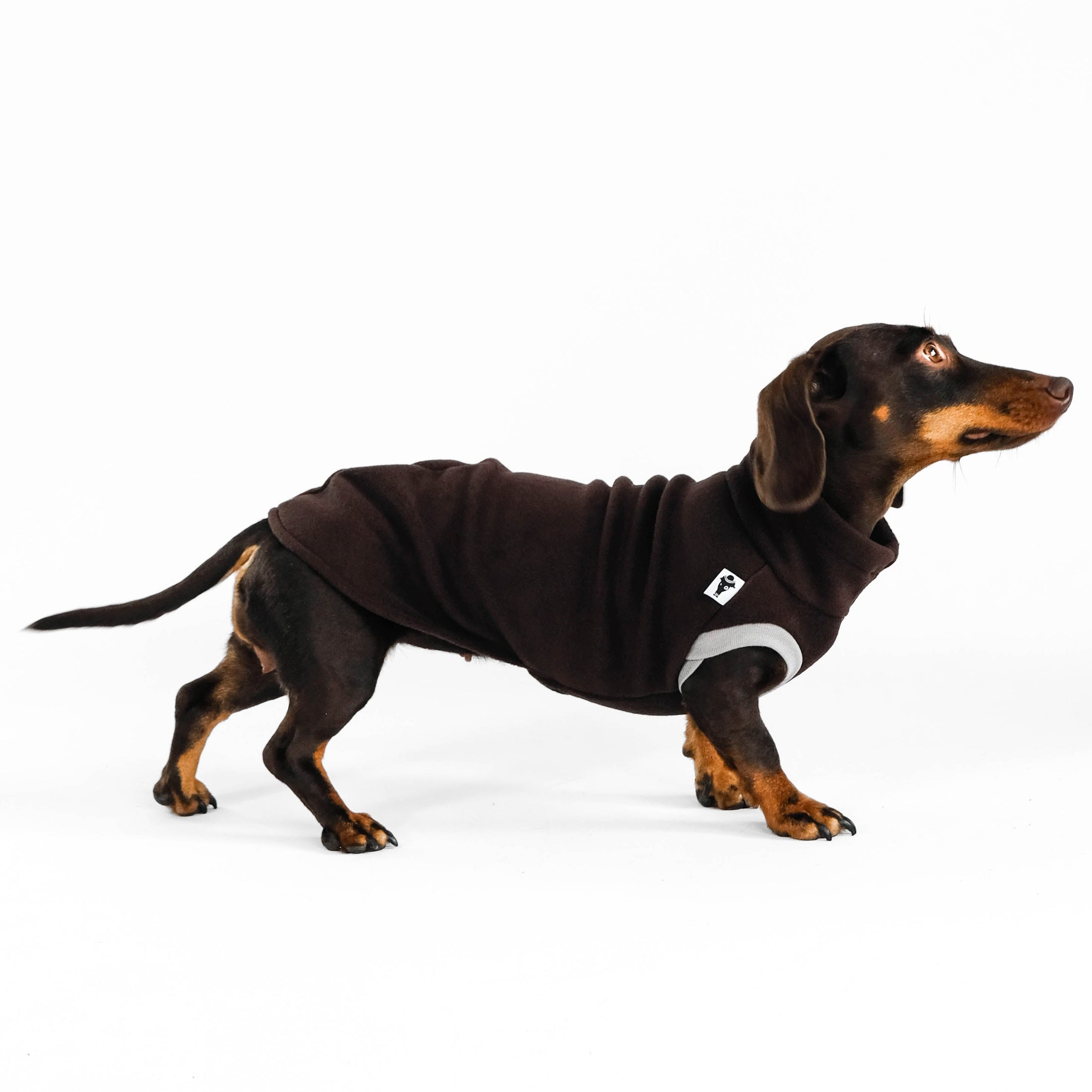 Dackel Fleece Long Shirt 2.0 in Braun