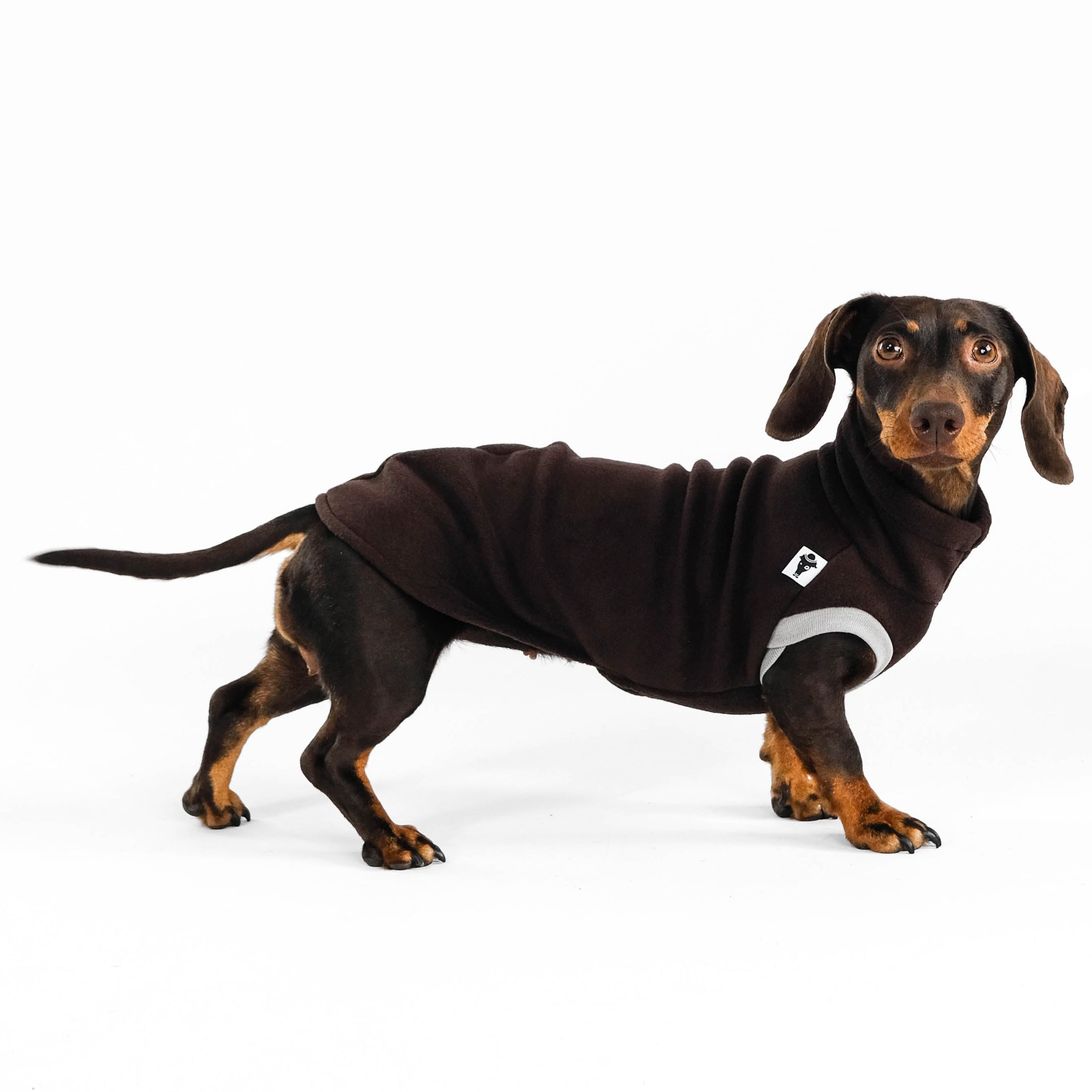 Dackel Fleece Long Shirt 2.0 in Braun