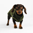 Load image into Gallery viewer, Dackel Fleece Long Shirt 2.0 in Dark Olive

