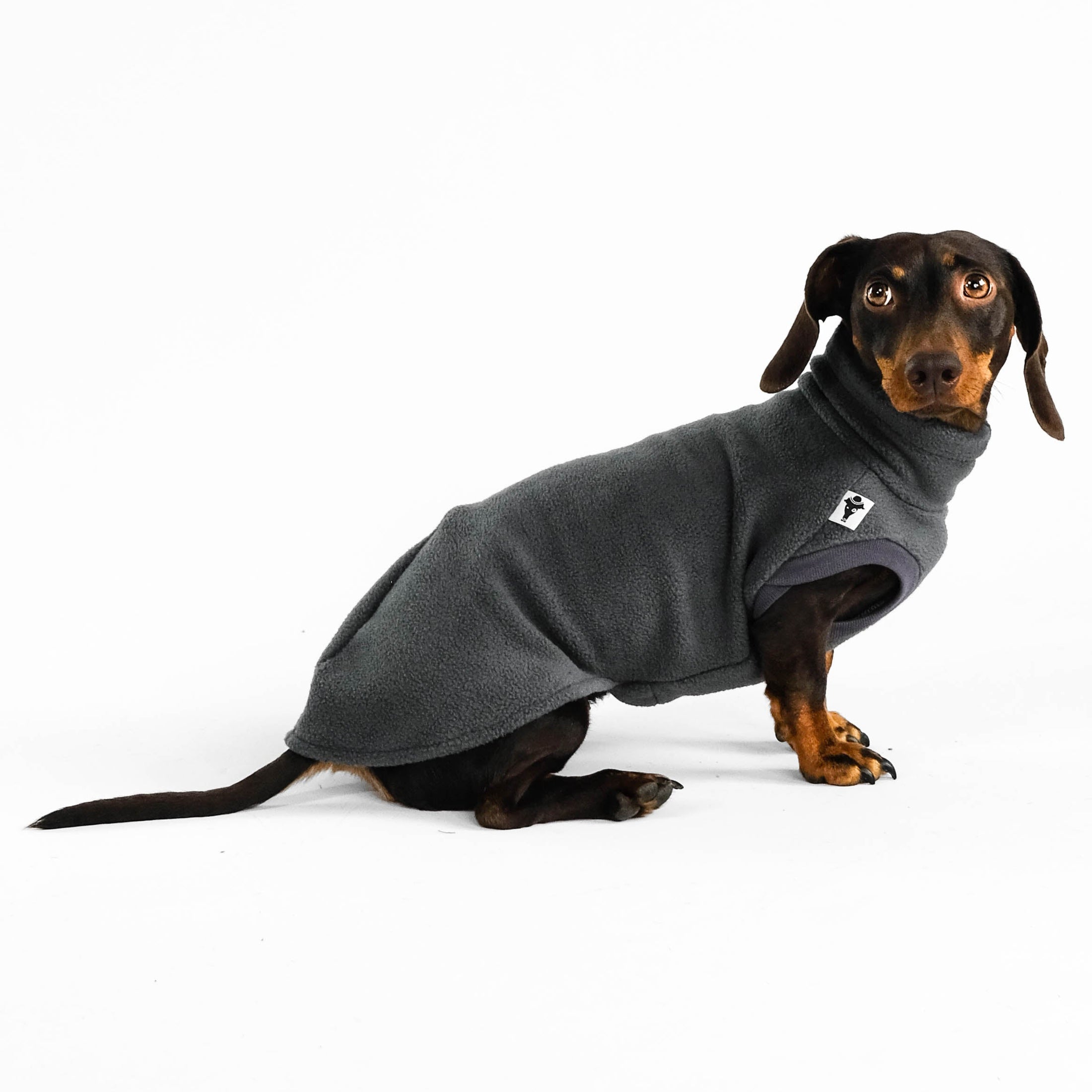 Dackel Fleece Long Shirt 2.0 in Graphite