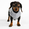 Load image into Gallery viewer, Dackel Fleece Long Shirt 2.0 Light Gray 
