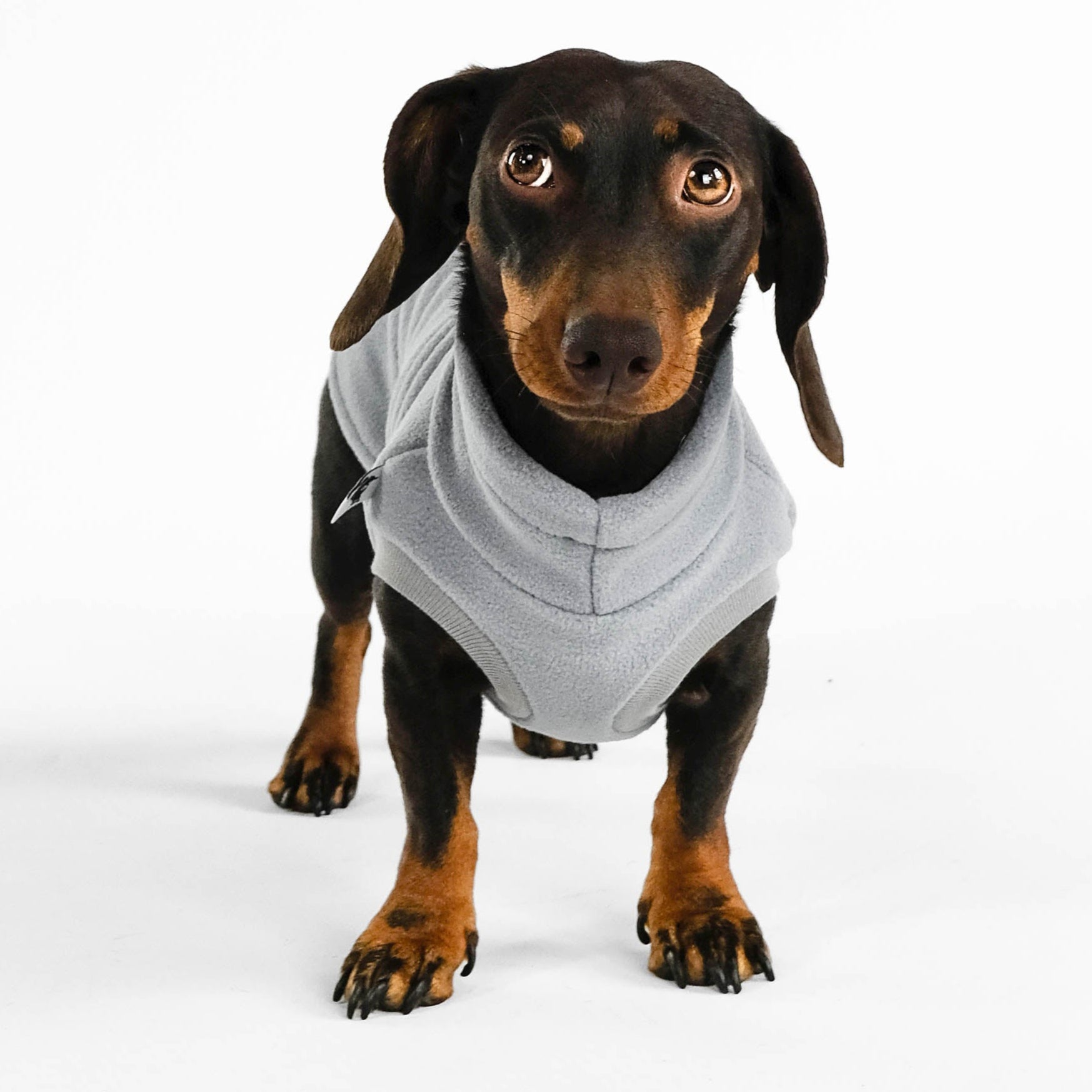 Dackel Fleece Long Shirt 2.0 Light Gray 