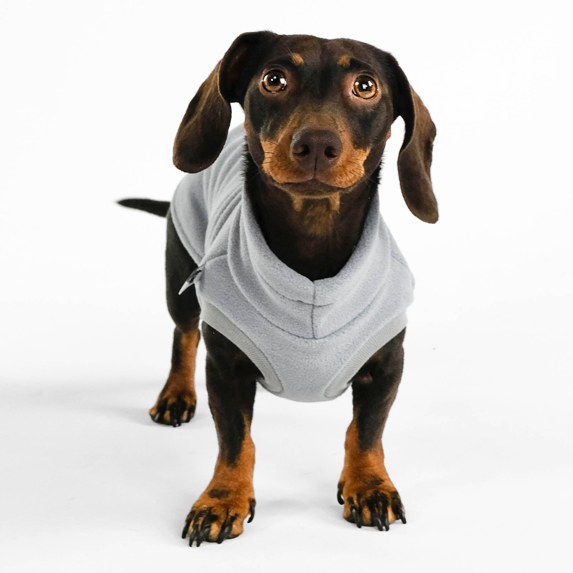 Dackel Fleece Long Shirt Light Gray