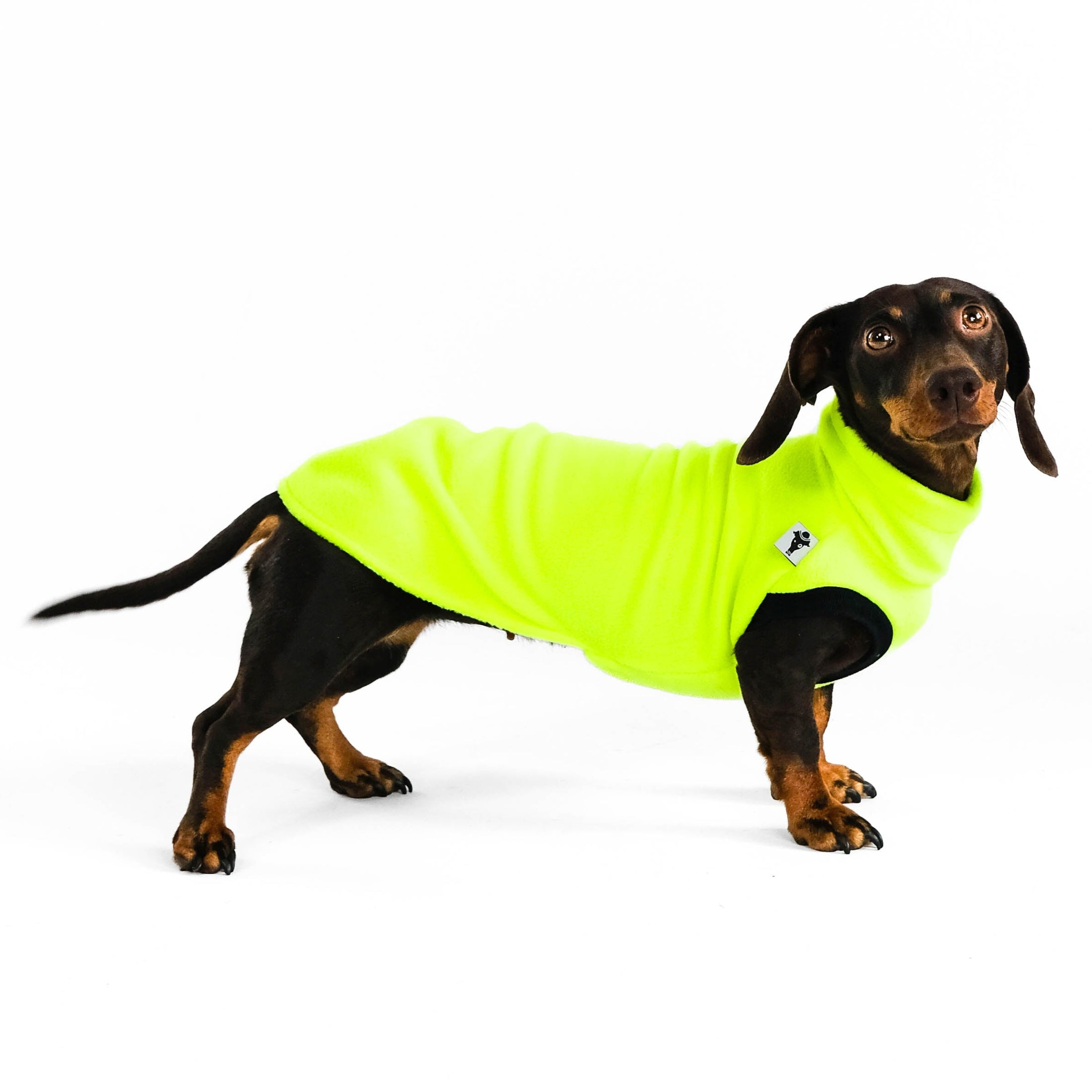 Dackel Fleece Long Shirt 2.0 Neon Yellow