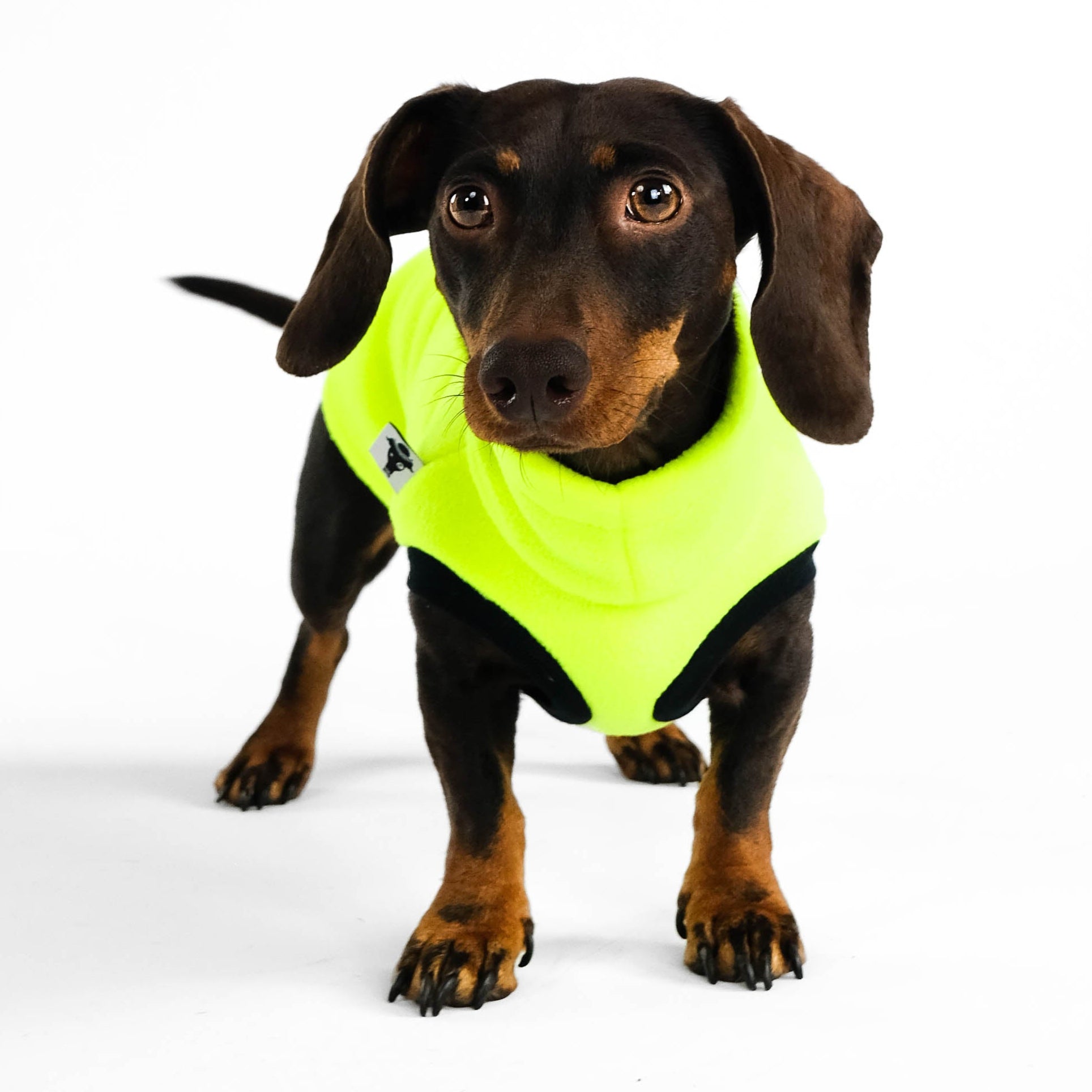 Dackel Fleece Long Shirt 2.0 Neon Yellow