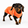 Load image into Gallery viewer, Dackel Fleece Long Shirt 2.0 Orange
