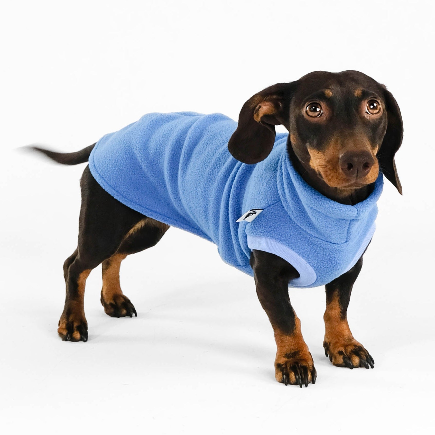 Dackel Fleece Long Shirt 2.0 Sky blue