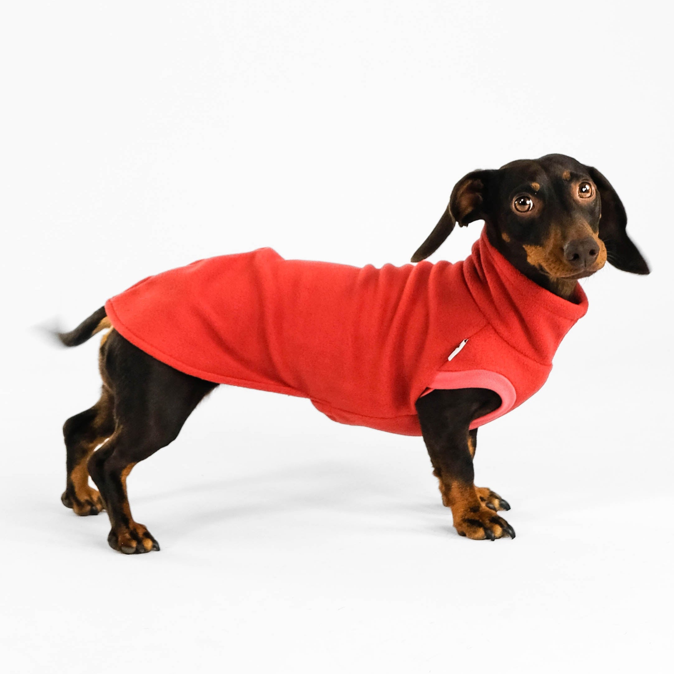 Dackel Fleece Long Shirt 2.0 Terracotta