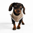 Load image into Gallery viewer, Dackel Fleece Long Shirt in Walnut
