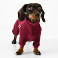 Load image into Gallery viewer, Hundepullover Fleece für Dackel
