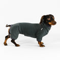 Load image into Gallery viewer, Dackel Fleece Overall Graphite
