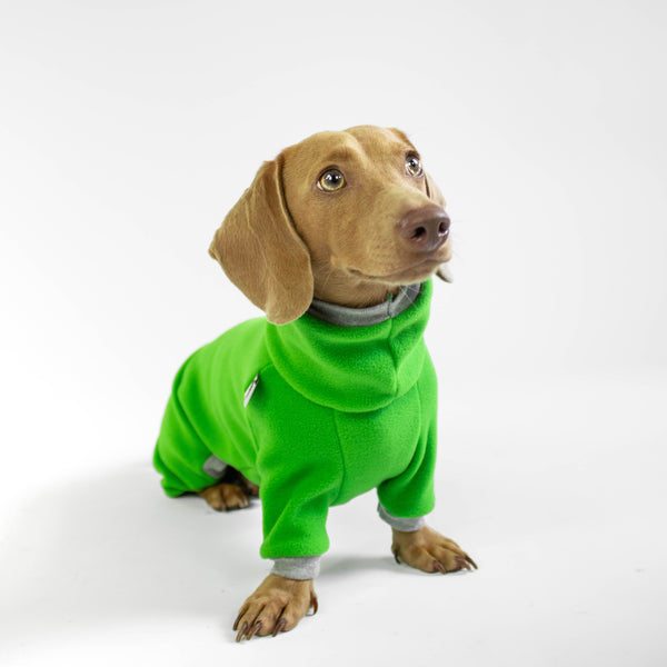 Dachshund Overall in Green