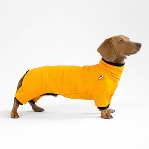 Dachshund Overall Halloween Special