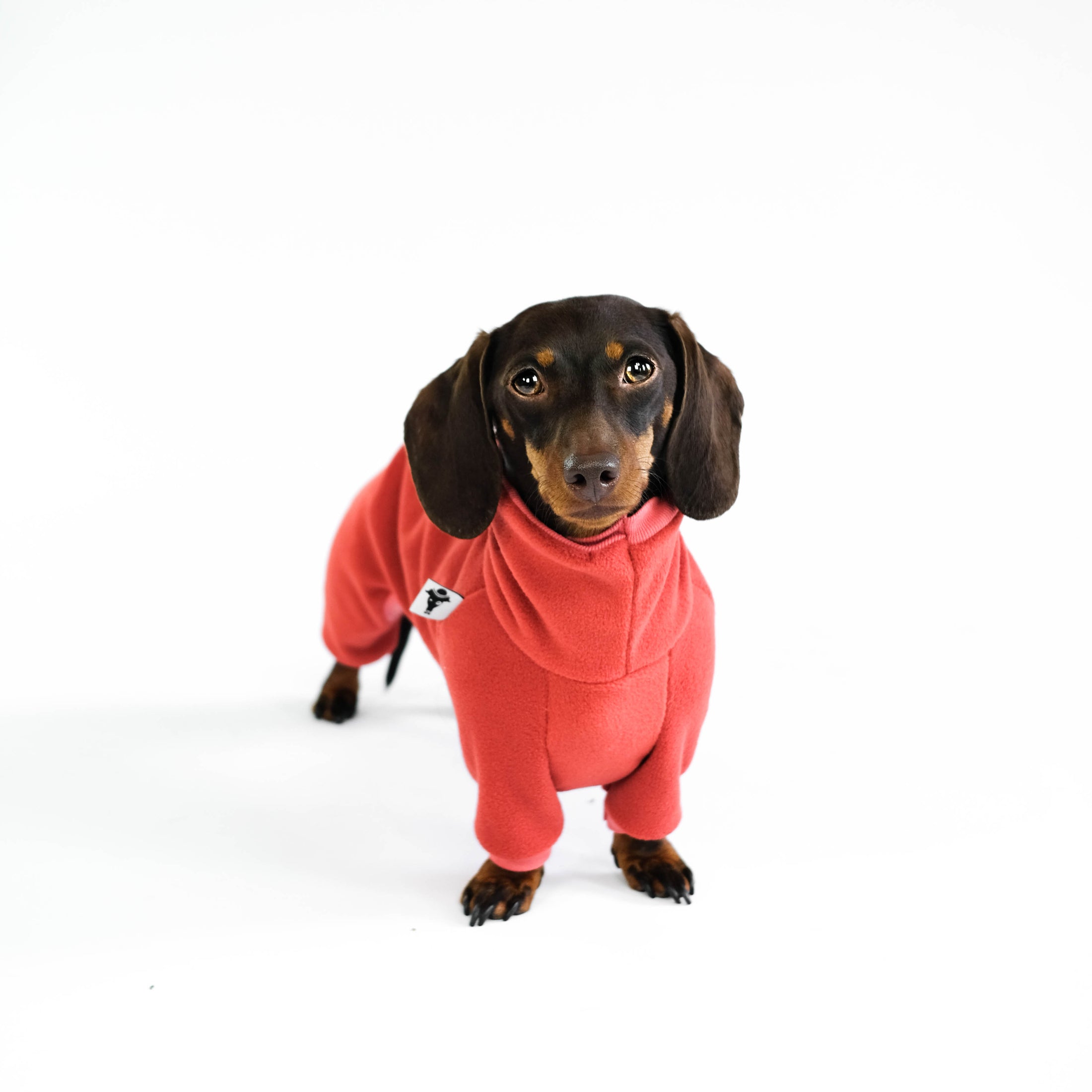 Polar fleece overall for dachshund Terracotta 