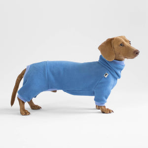 Dachshund Overall in Sky Blue