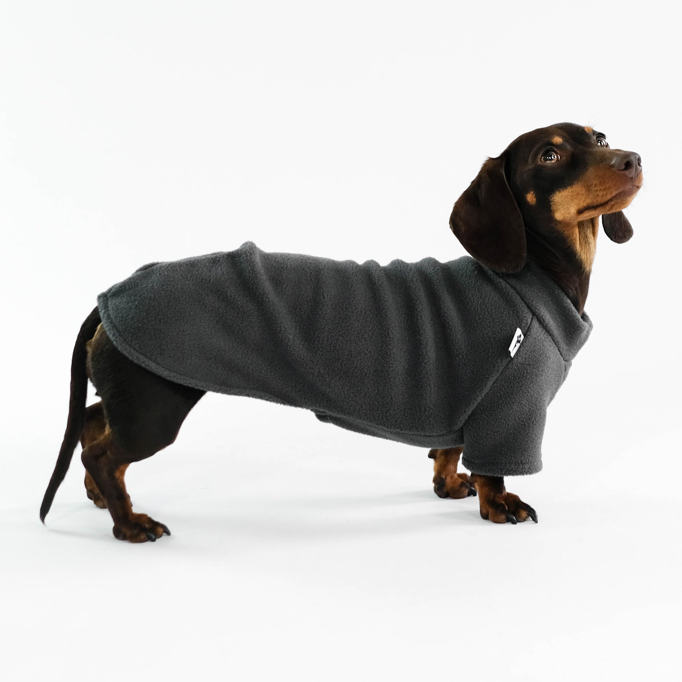 Dackel Fleece Pullover