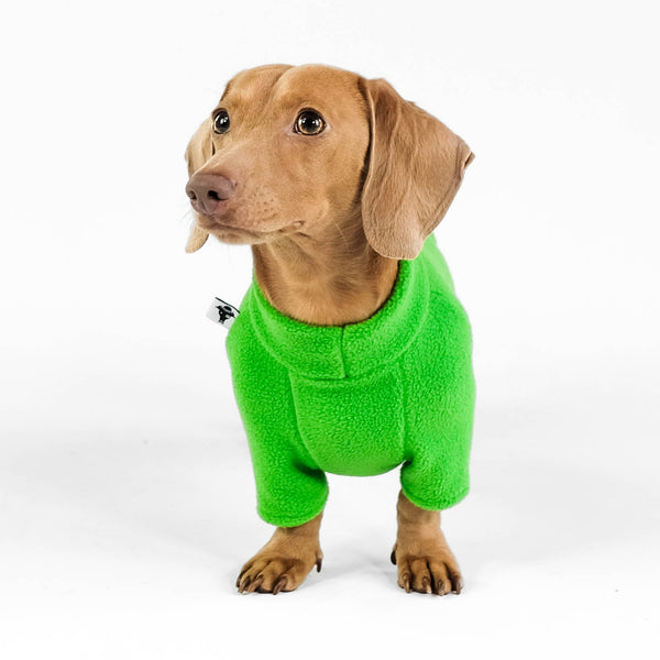 Dachshund Sweater Green