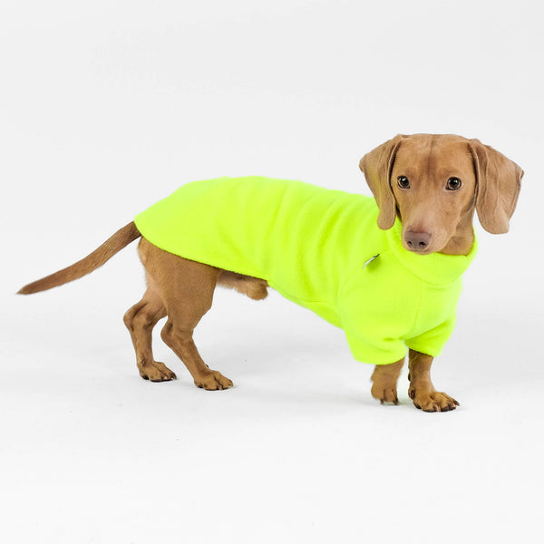 Dackel Fleece Pullover Neon Gelb