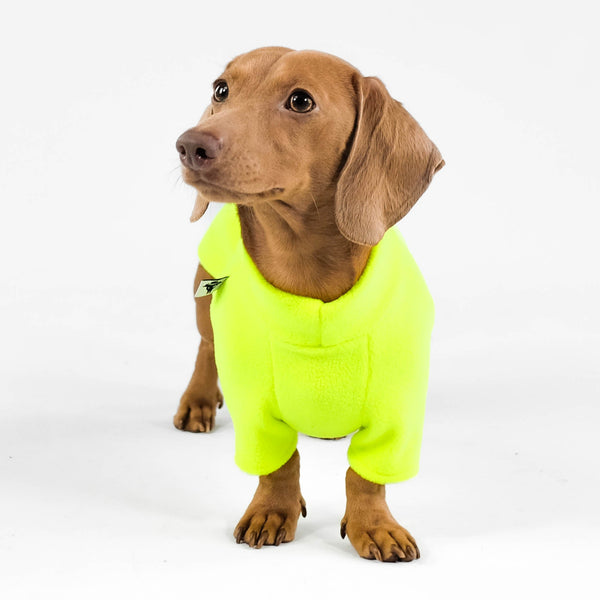 Dachshund Sweater Neon Yellow