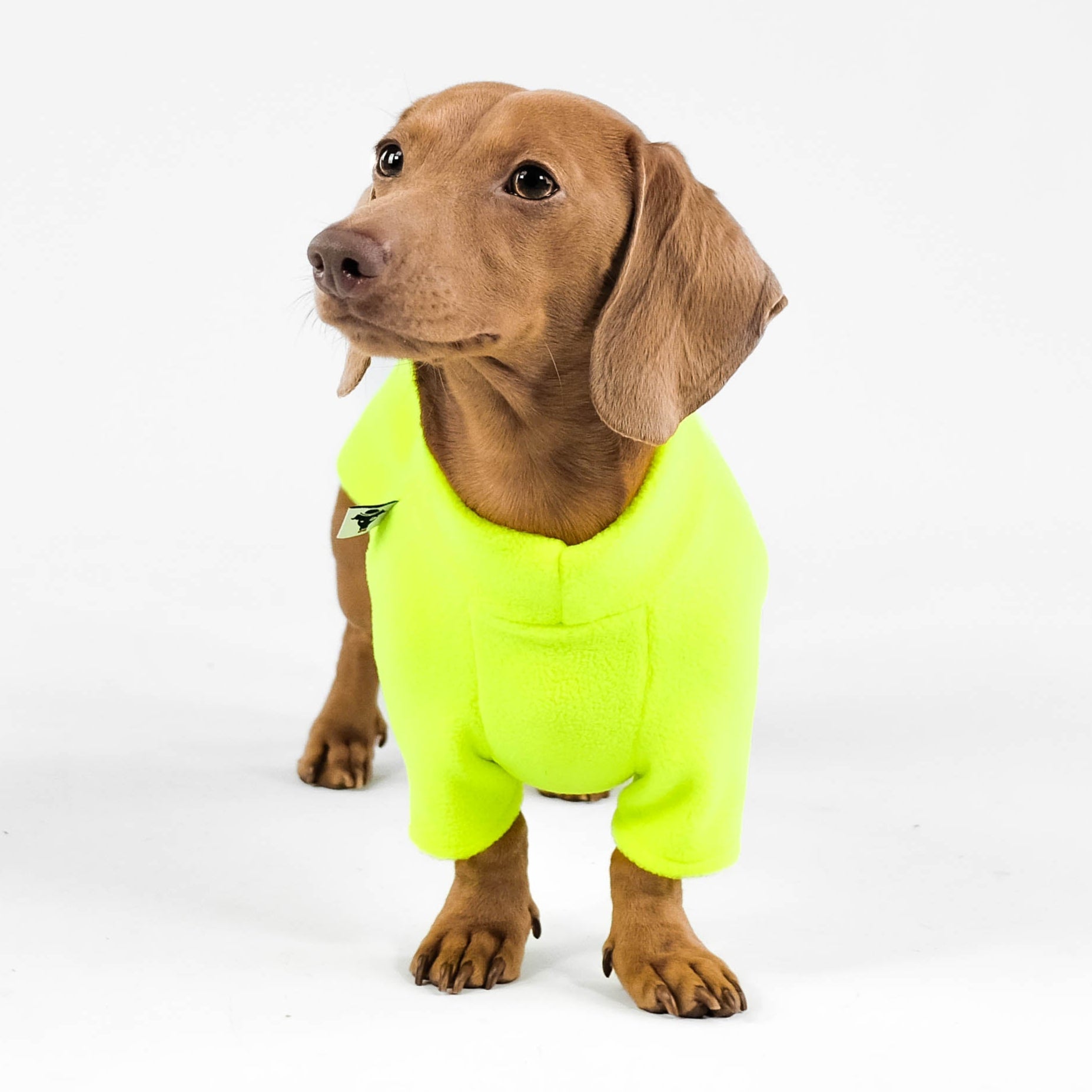 Dackel Fleece Pullover Neon Yellow