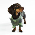 Load image into Gallery viewer, Dachshund Jumper
