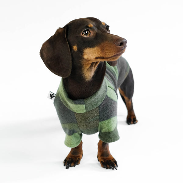 Dachshund Jumper