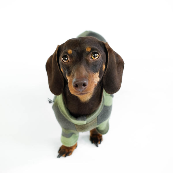 Polar fleece sweater for dachshund camouflage