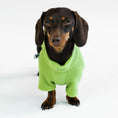 Load image into Gallery viewer, Dachshund Jumper
