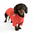 Load image into Gallery viewer, Dachshund Jumper
