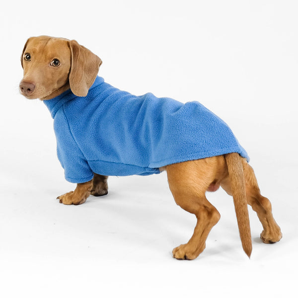 Dachshund Sweater 