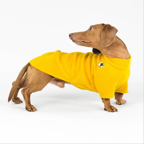 Dachshund Fleece Sweater Sunflower Yellow